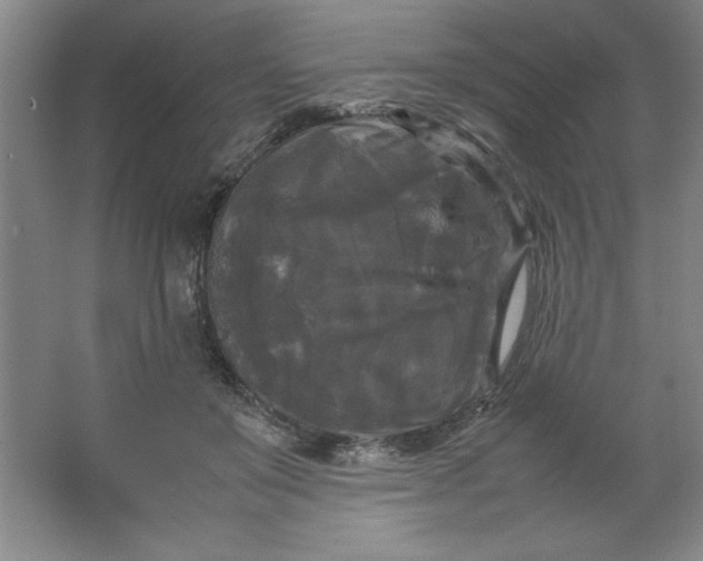 X0000064060503200602101534