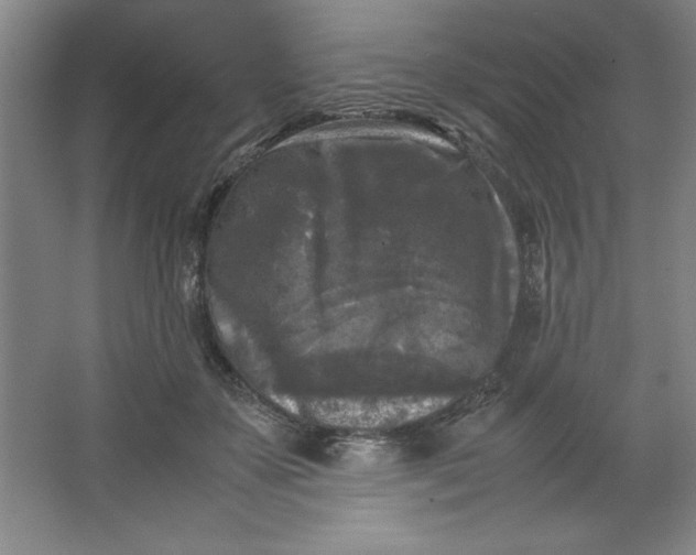 X0000064060507200602101534