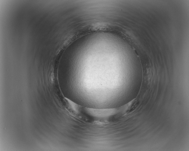 X0000064060508200602101534
