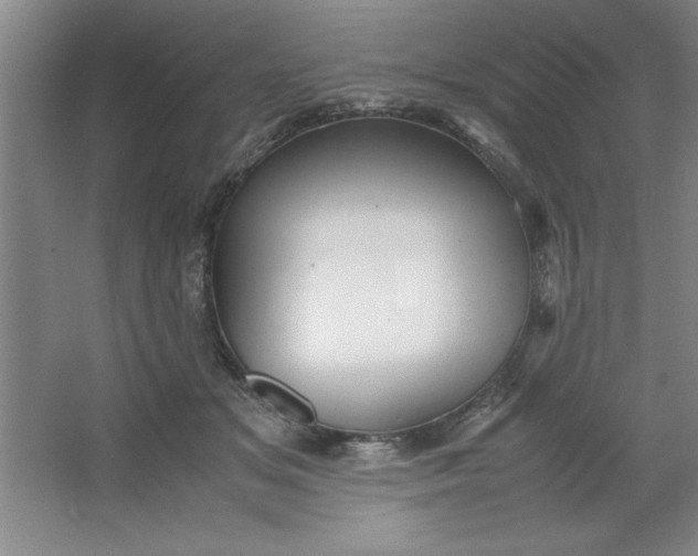 X0000064060509200602101534