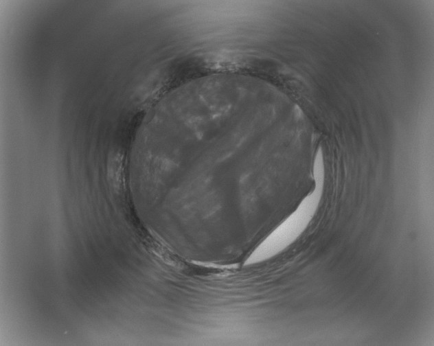 X0000064060511200602101534