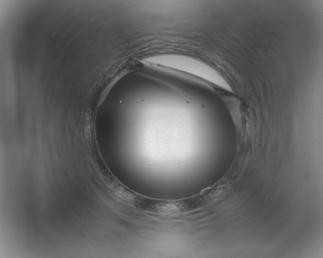 X0000064060513200602101534