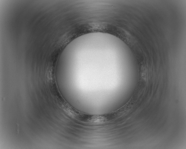 X0000064060514200602101534