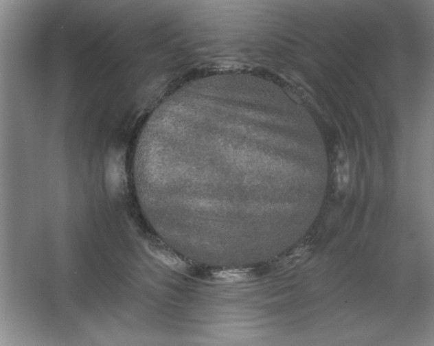X0000064060516200602101534