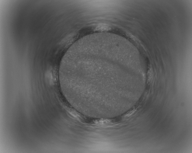 X0000064060517200602101534