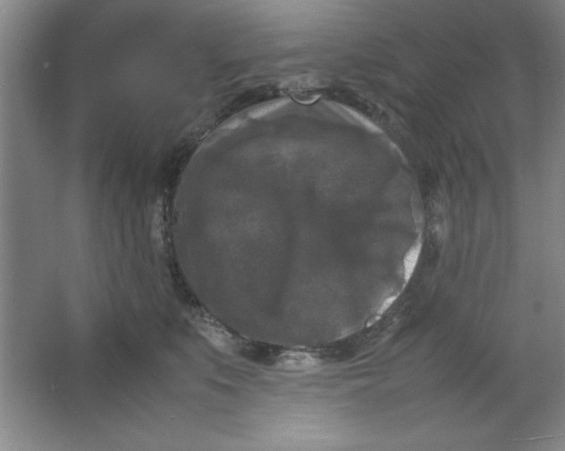 X0000064060519200602101533