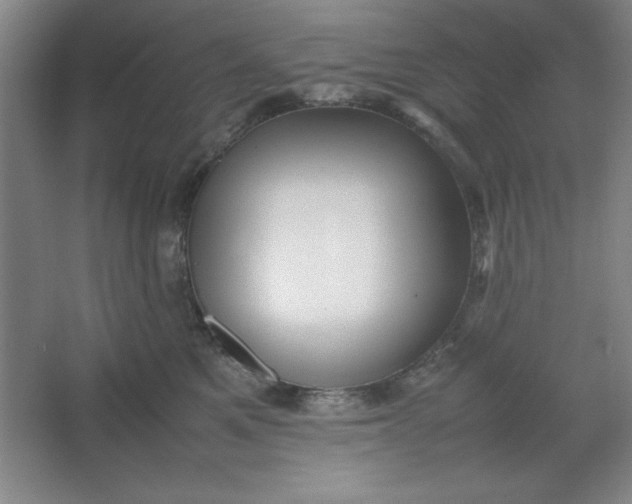 X0000064060521200602101533