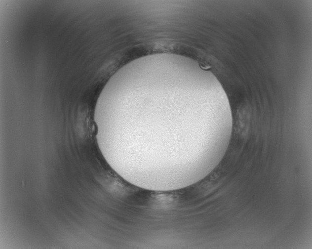 X0000064060522200602101533