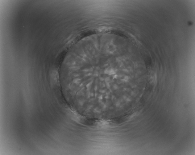 X0000064060523200602101533