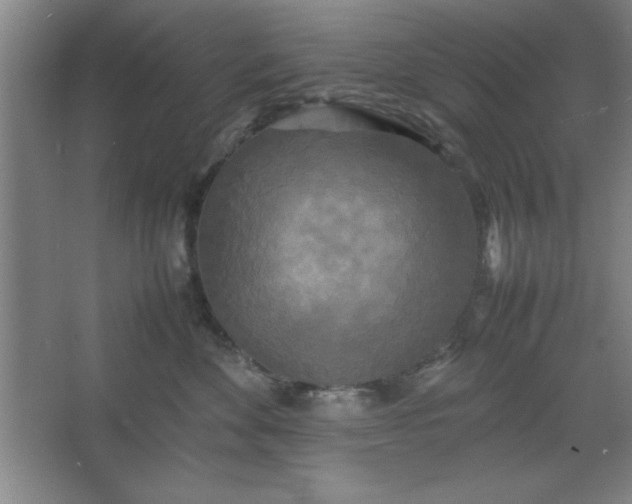 X0000064060524200602101533