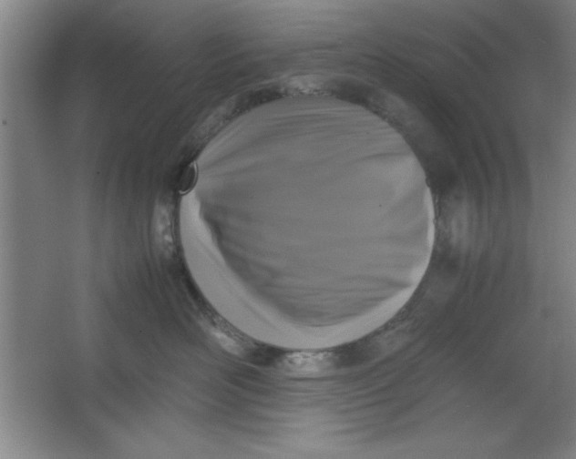 X0000064060526200602101533