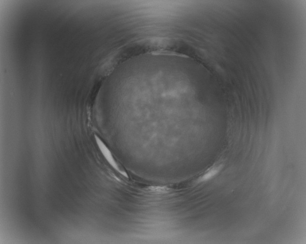 X0000064060528200602101533