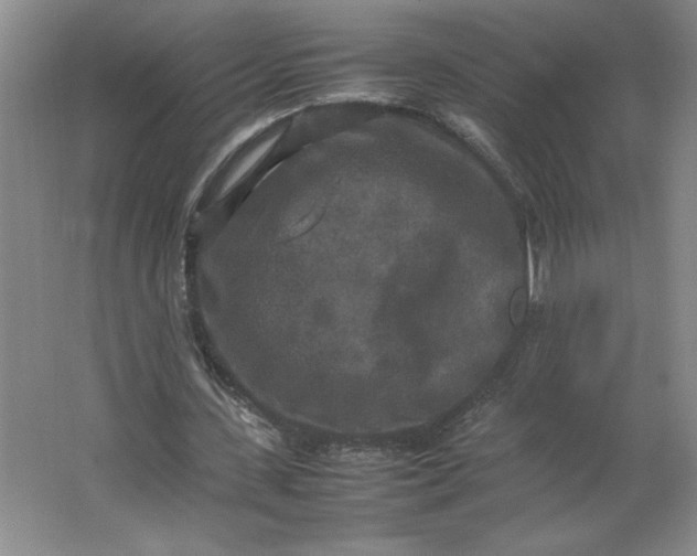 X0000064060531200602101533