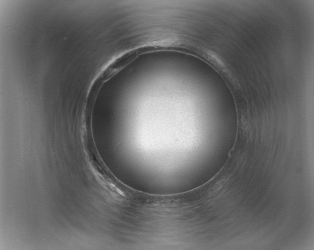 X0000064060532200602101533