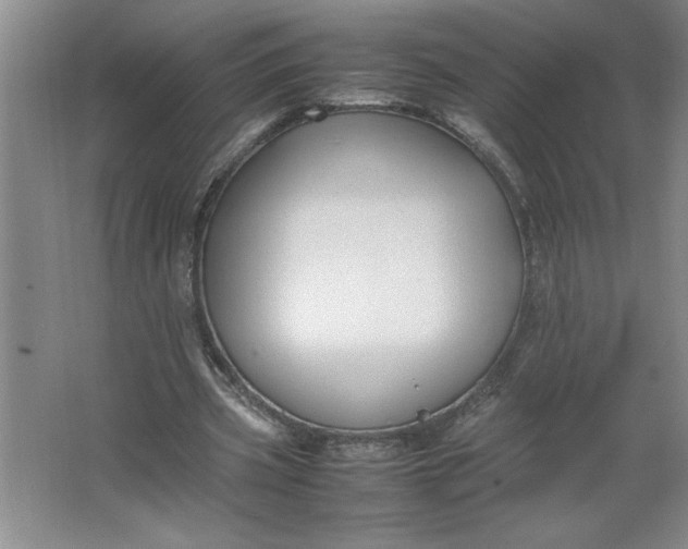 X0000064060533200602101533