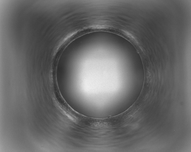 X0000064060535200602101533