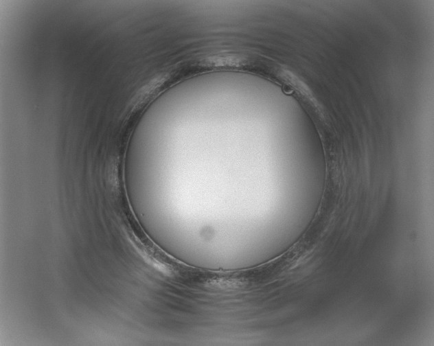 X0000064060537200602101533