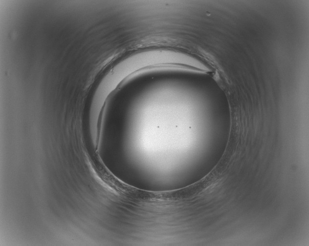 X0000064060538200602101533