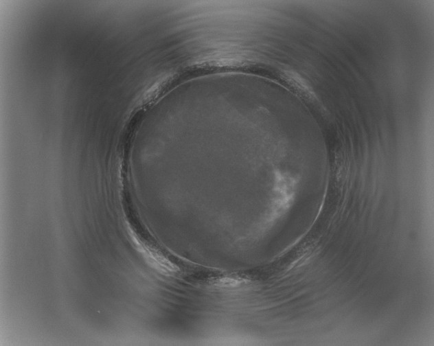 X0000064060542200602101533