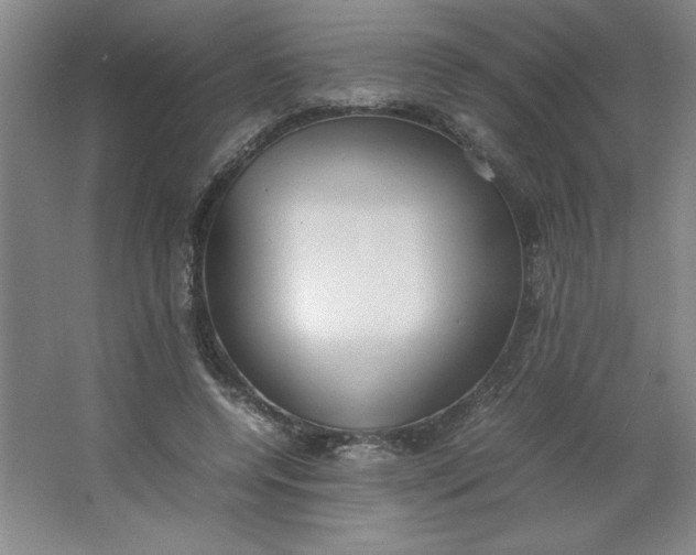 X0000064060544200602101533