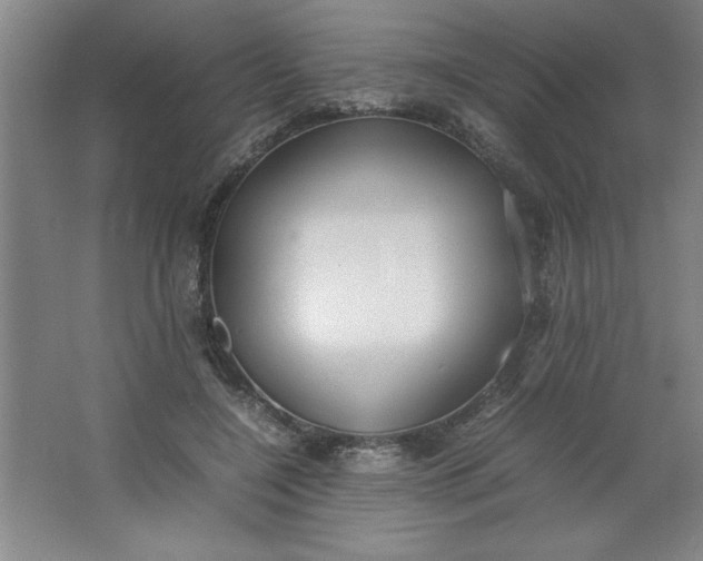 X0000064060548200602101533