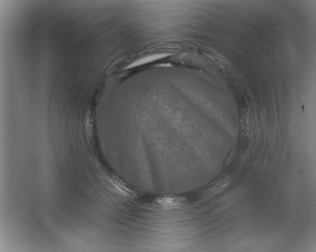 X0000064060558200602101533