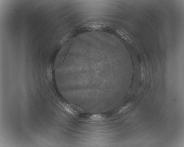 X0000064060562200602101533