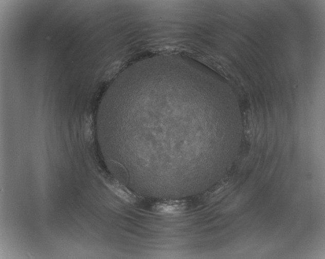 X0000064060563200602101533