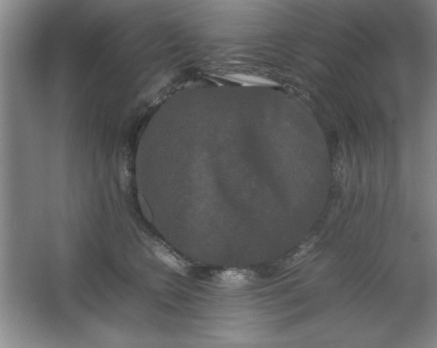 X0000064060566200602101533