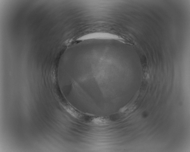 X0000064060568200602101533