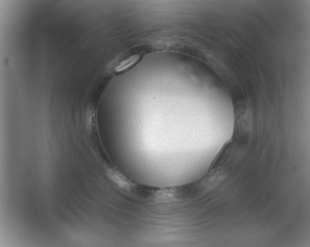 X0000064060574200602101533