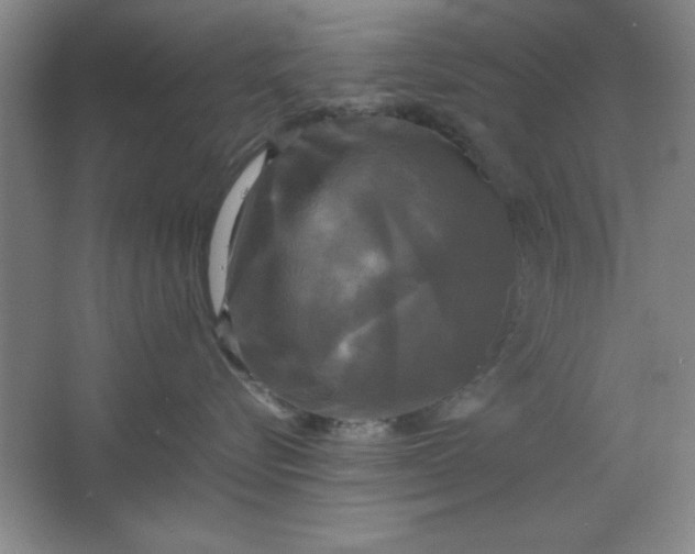 X0000064060576200602101533