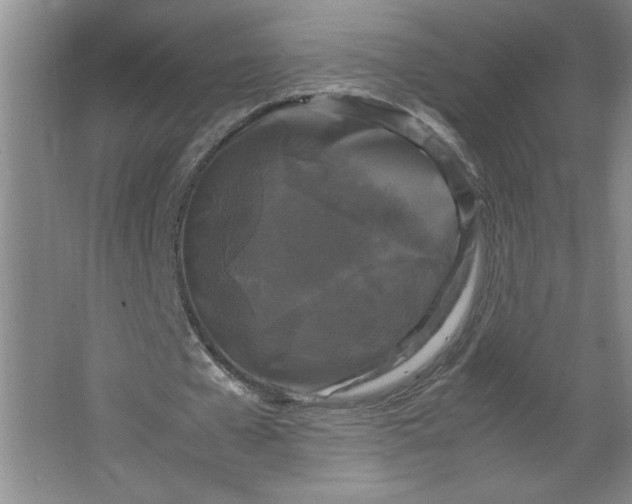 X0000064060577200602101532