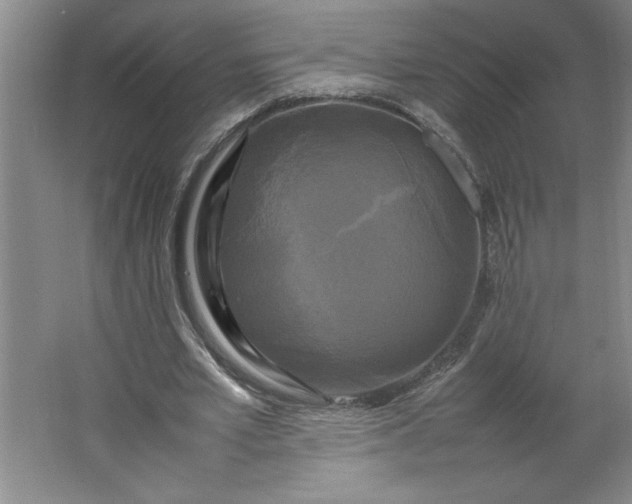 X0000064060581200602101532