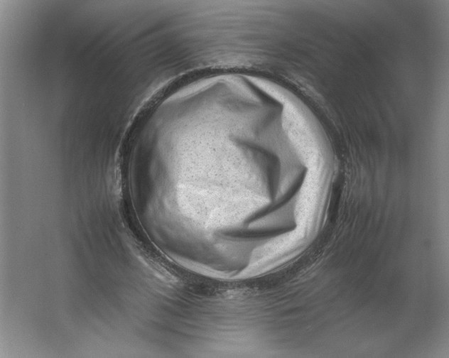 X0000064060584200602101532
