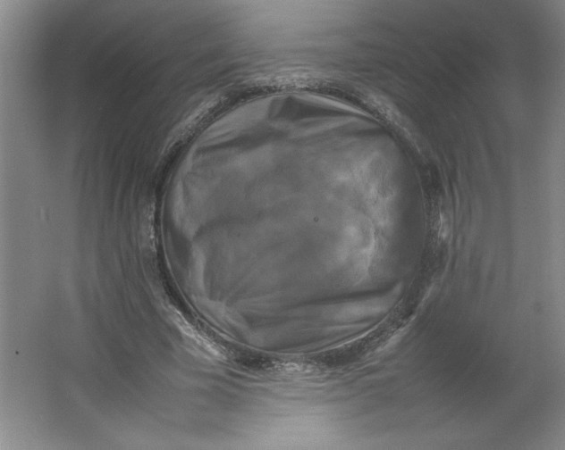 X0000064060585200602101532