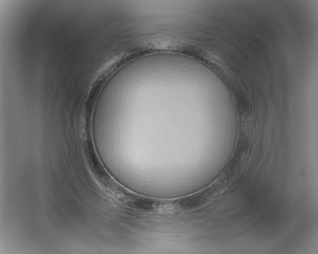 X0000064060587200602101532