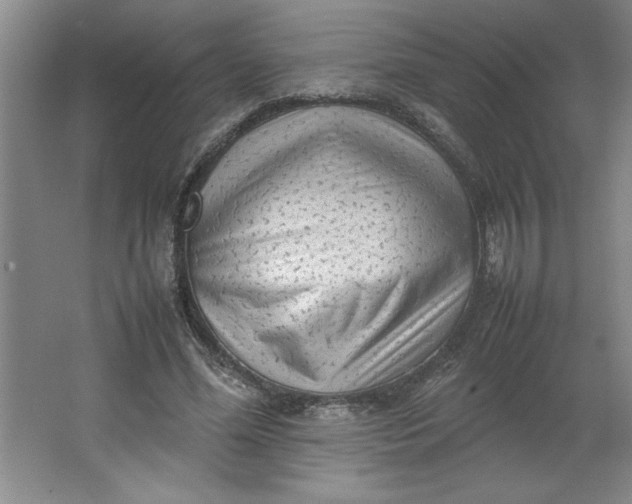 X0000064060588200602101532
