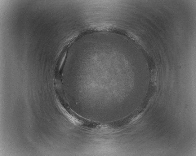 X0000064060589200602101532