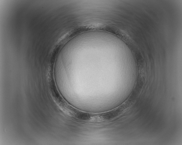 X0000064060591200602101532