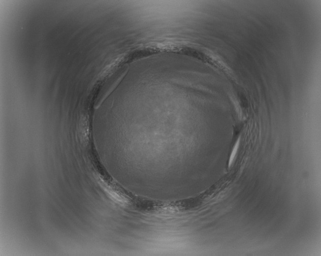 X0000064060593200602101532