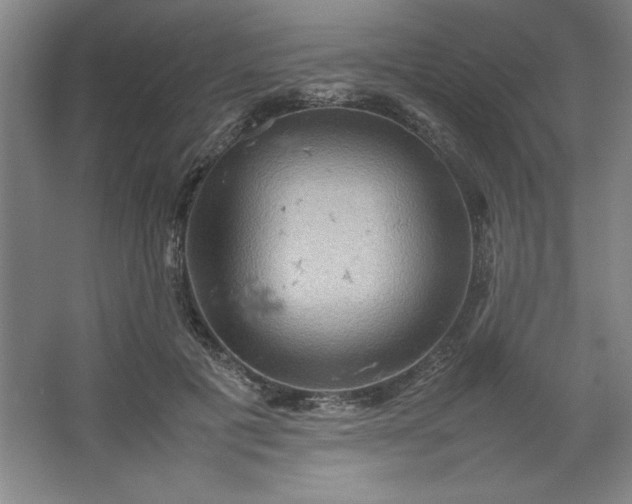 X0000064060601200602101532