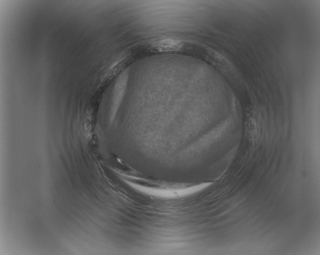 X0000064060604200602101532