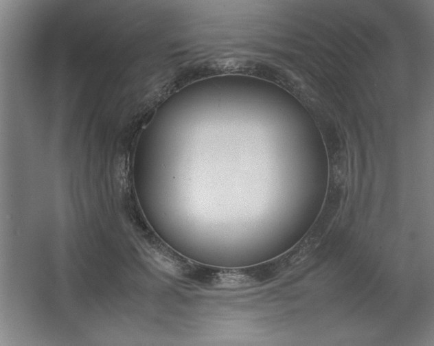 X0000064060605200602101532