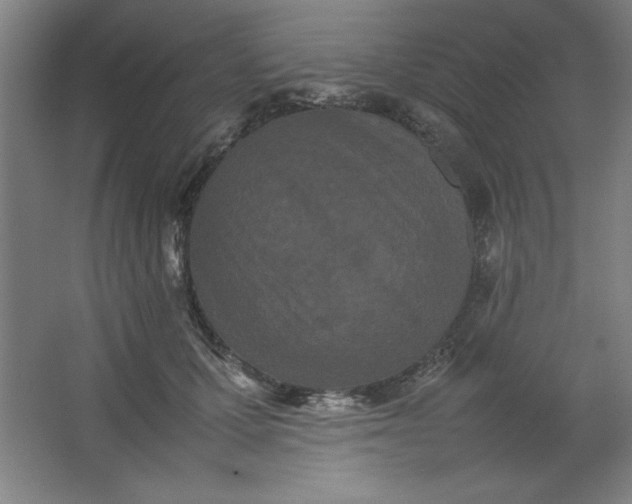 X0000064060607200602101532