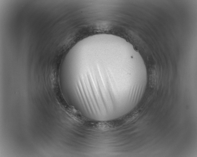 X0000064060608200602101532