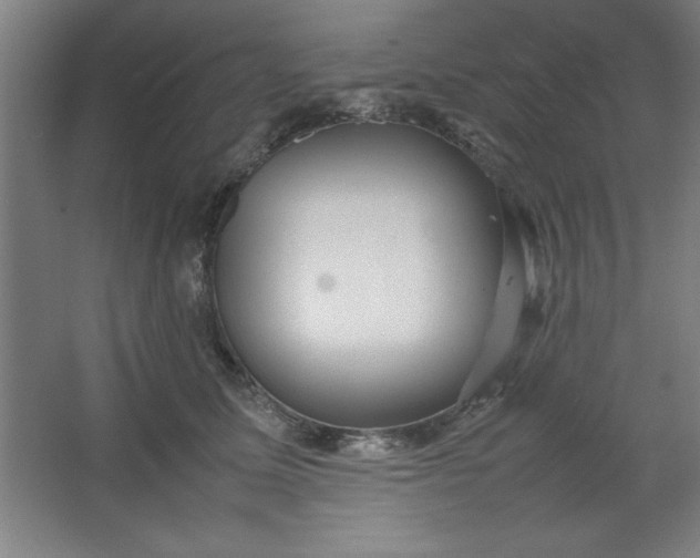 X0000064060611200602101532
