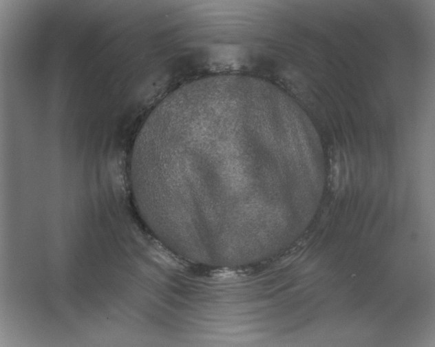 X0000064060616200602101532