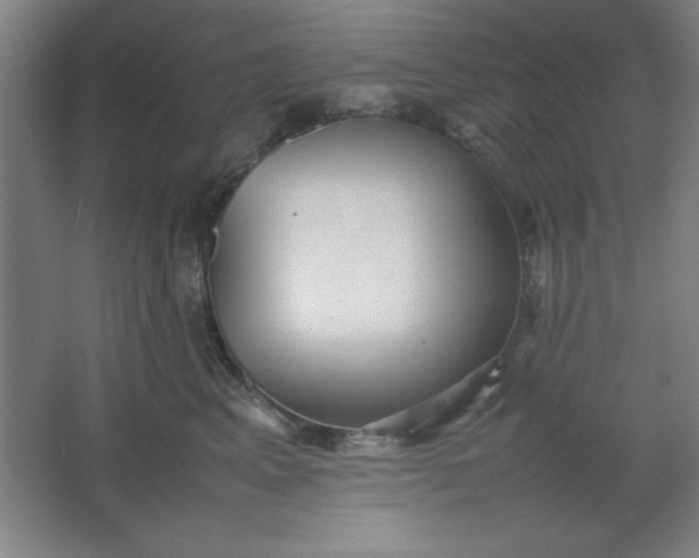 X0000064060617200602101532