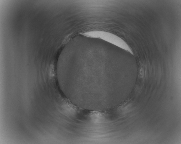X0000064060620200602101532